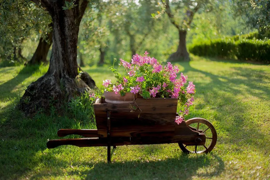 Podere Sant'Antonio Fauglia Gasthof