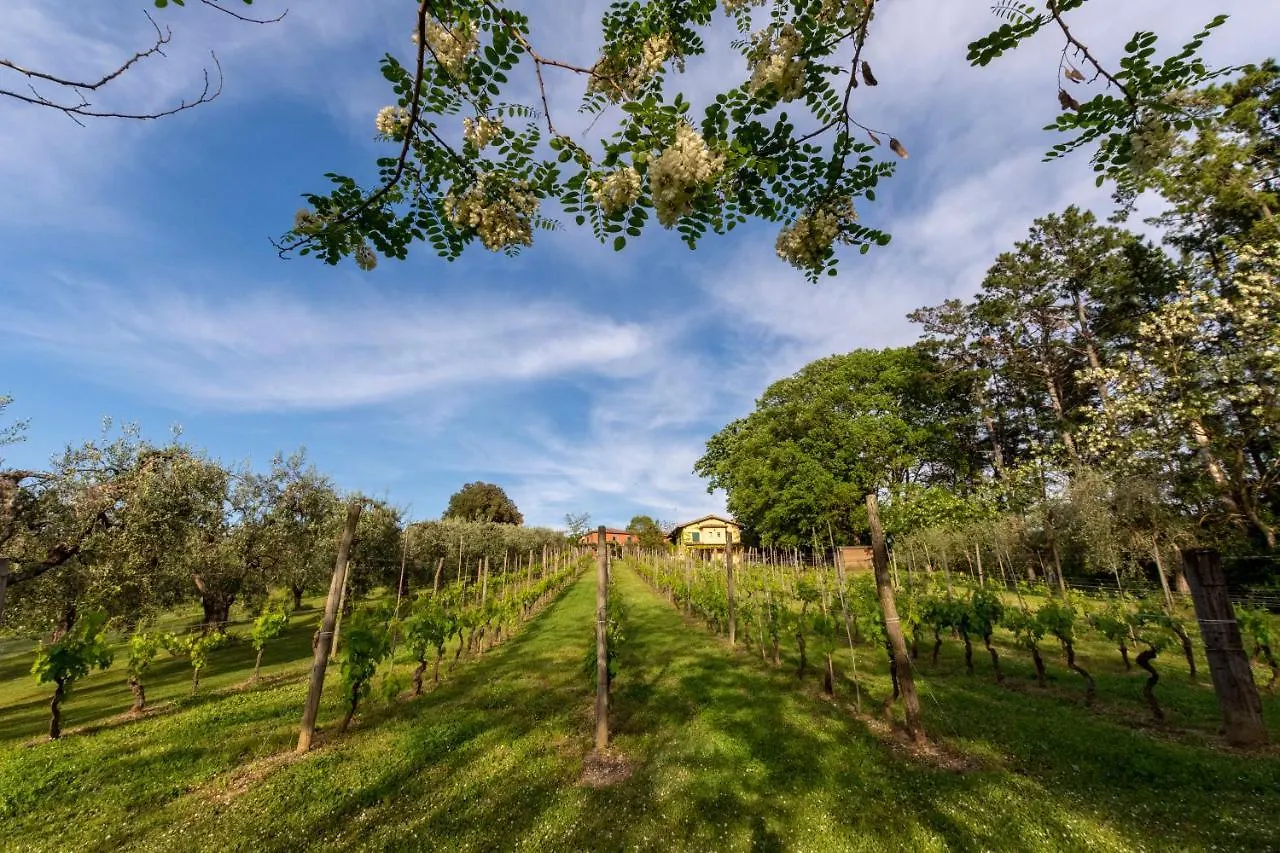 Guest house Podere Sant'Antonio Fauglia