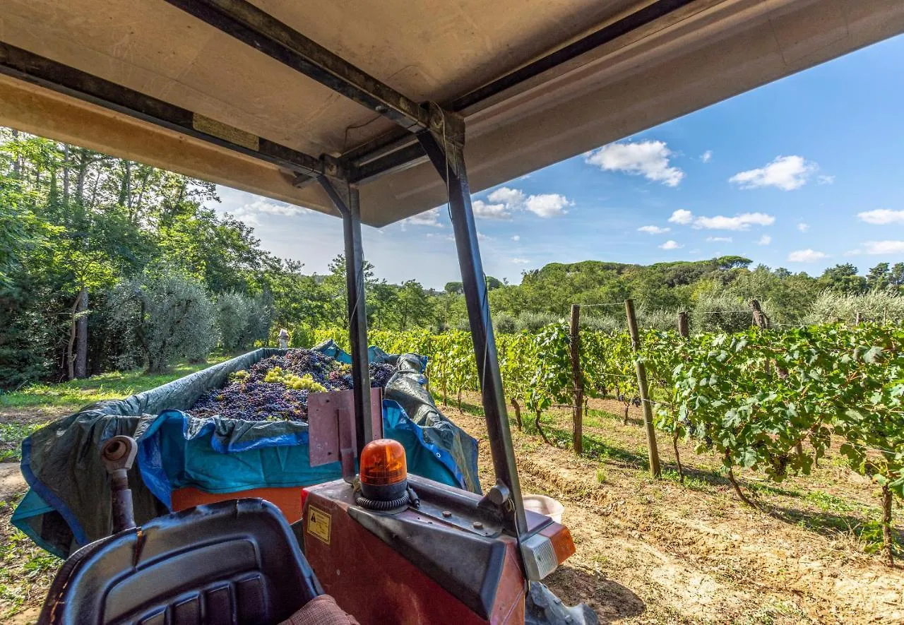 Guest house Podere Sant'Antonio Fauglia Italy