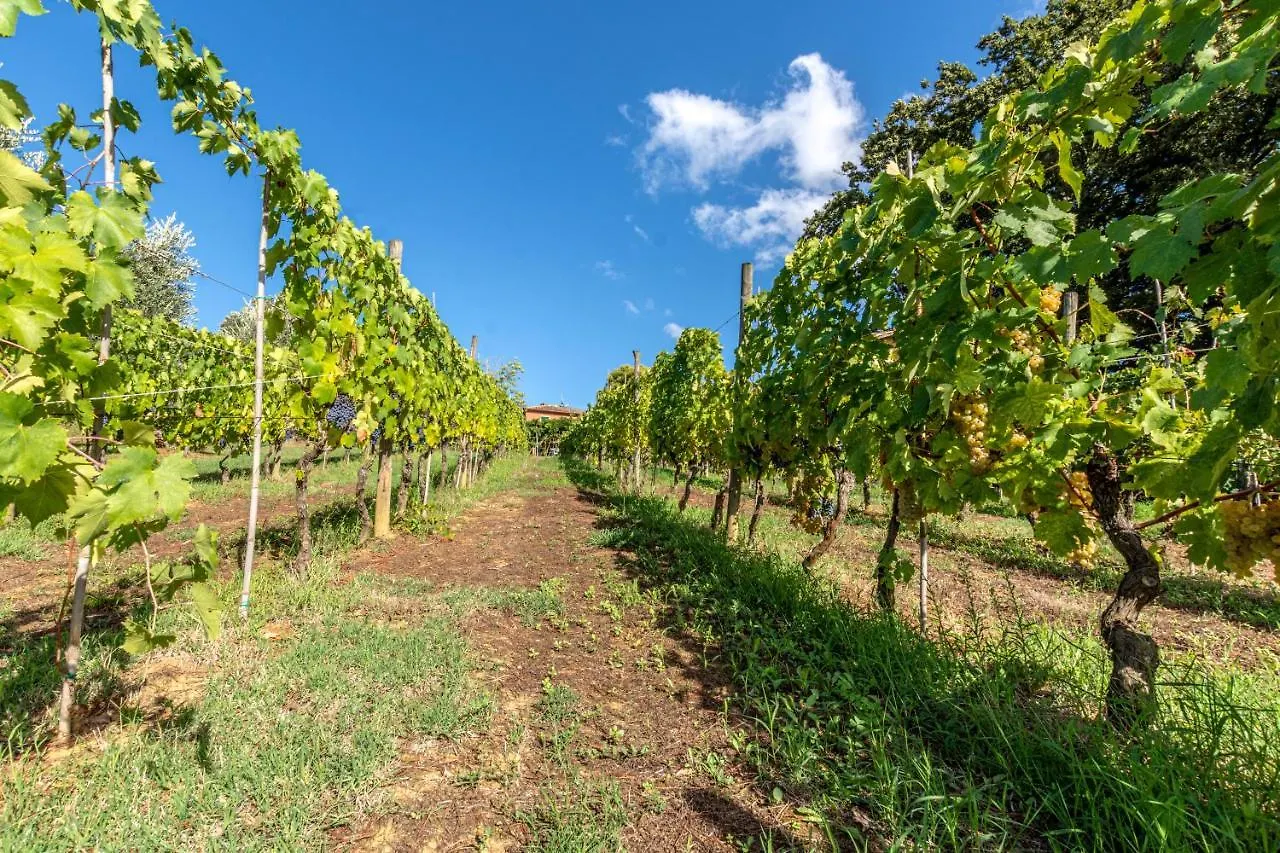 Podere Sant'Antonio Fauglia 0*,  Italy