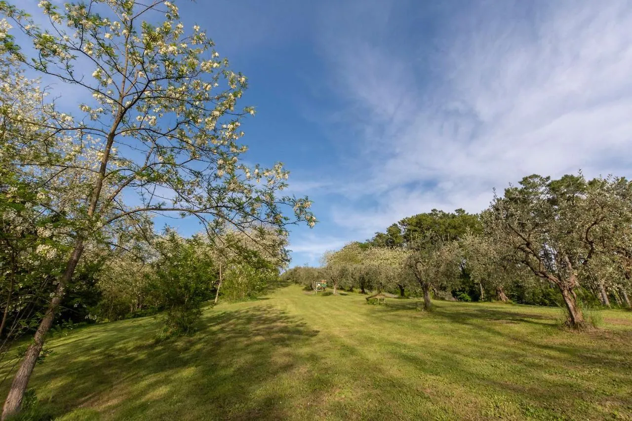 Podere Sant'Antonio Fauglia Guest house