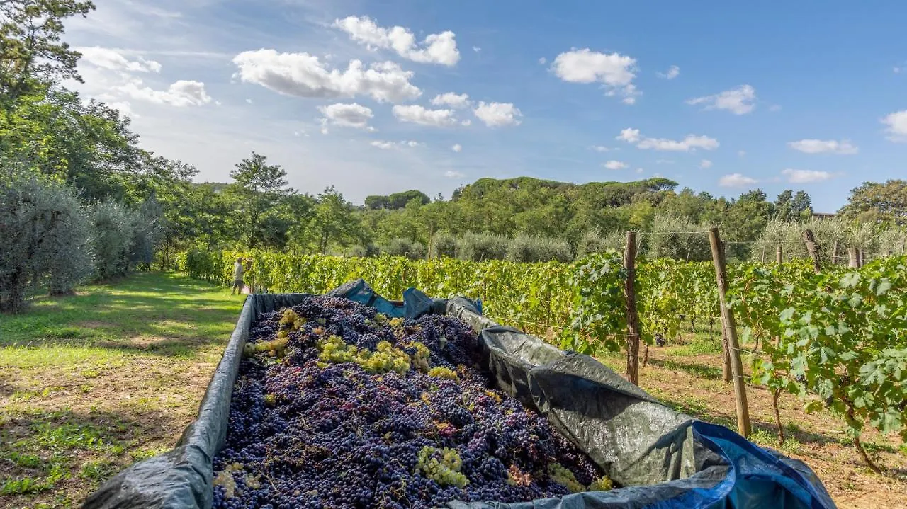 Podere Sant'Antonio Fauglia