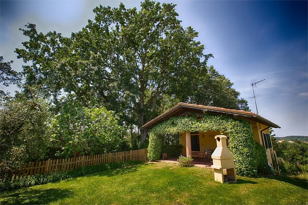 Podere Sant'Antonio Fauglia 0*,