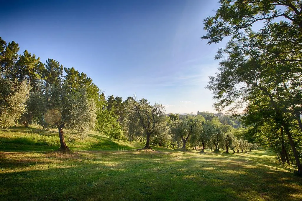 Podere Sant'Antonio Fauglia