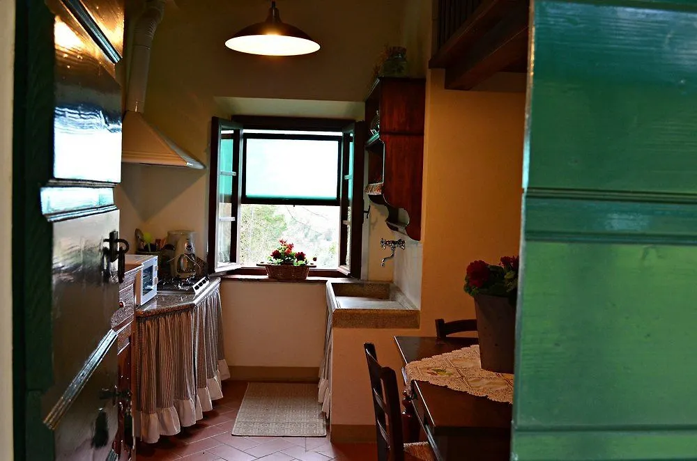 Podere Sant'Antonio Fauglia Guest house